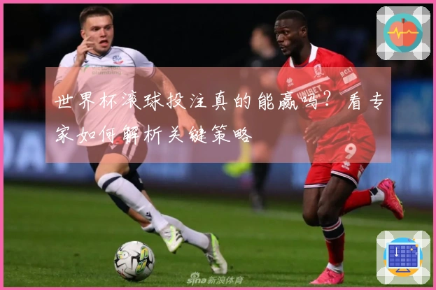 世界杯滚球投注真的能赢吗？看专家如何解析关键策略