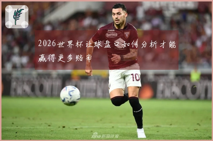 2026世界杯让球盘口如何分析才能赢得更多赔率