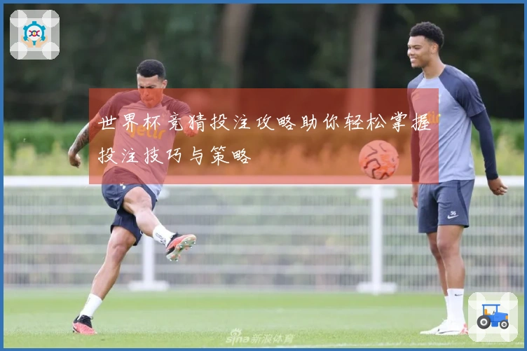 世界杯竞猜投注攻略助你轻松掌握投注技巧与策略