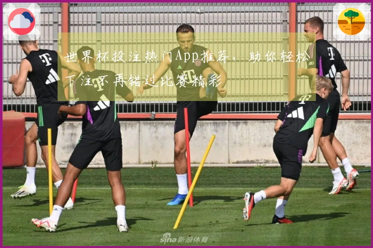世界杯投注热门App推荐，助你轻松下注不再错过比赛精彩