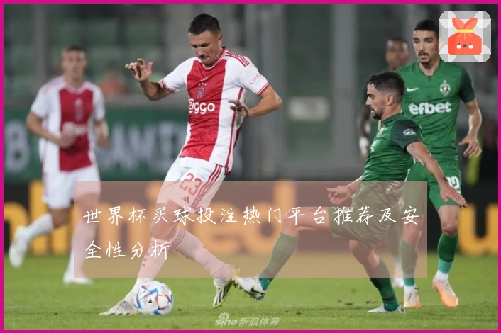 世界杯买球投注热门平台推荐及安全性分析
