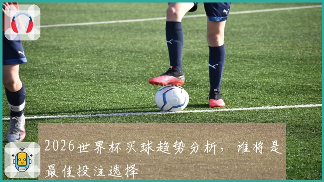 2026世界杯买球趋势分析，谁将是最佳投注选择