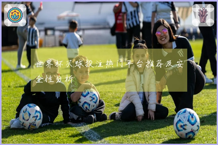 世界杯买球投注热门平台推荐及安全性分析