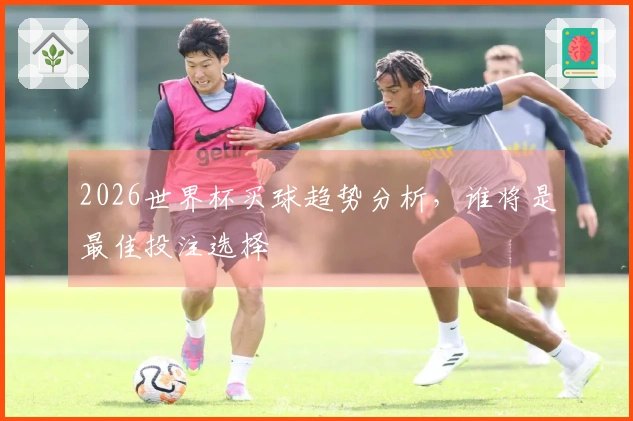 2026世界杯买球趋势分析，谁将是最佳投注选择
