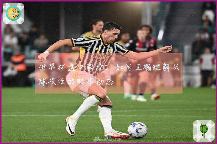 世界杯盘口解读：如何正确理解买球投注的赔率动态