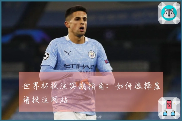 世界杯投注实战指南：如何选择靠谱投注网站