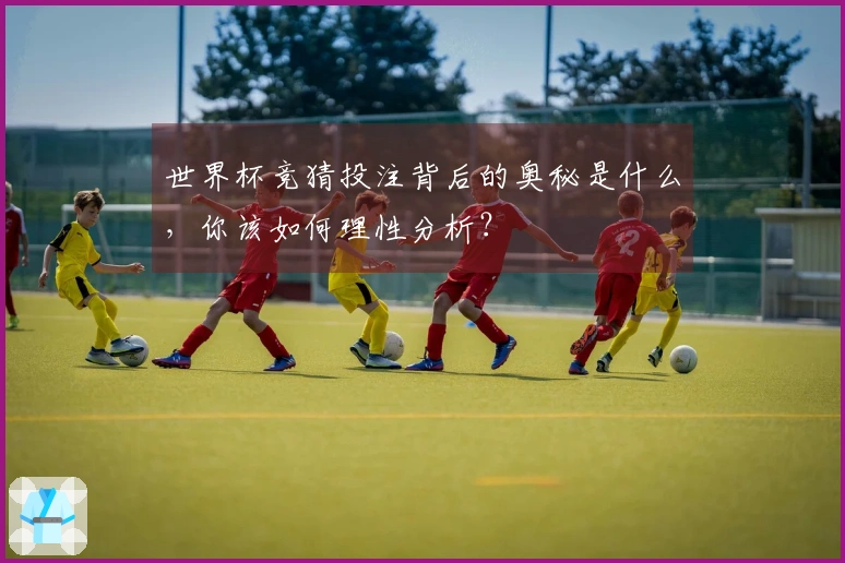 世界杯竞猜投注背后的奥秘是什么，你该如何理性分析？